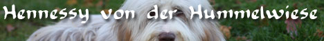HeuEl-Doch Banner 2