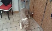 IMAG0275