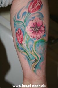 IMG 5736.JPG
