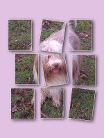 Einfach mal Hennessy